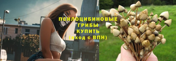 Альфа ПВП Осинники