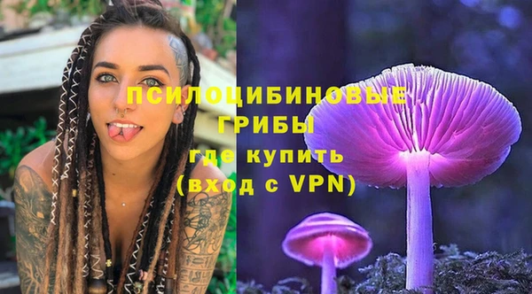 спайс Арсеньев