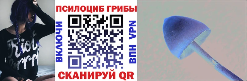 KRAKEN зеркало Междуреченск darknet Telegram Галлюциногенные грибы мухоморы